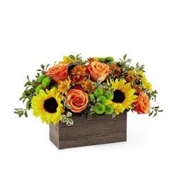 The Happy Harvest Garden from Parkway Florist in Pittsburgh PA